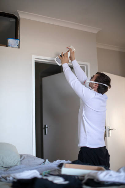 Reliable Wilson Conococheague, MD Mold Removal Solutions