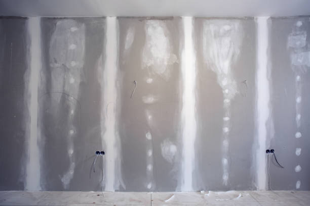 Best Water Damage & Mold Remediation  in Wilson Conococheague, MD